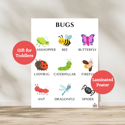 Laminated poster featuring nine common and cute bug creatures. Great for decor in preschool classrooms and toddler rooms and playrooms.